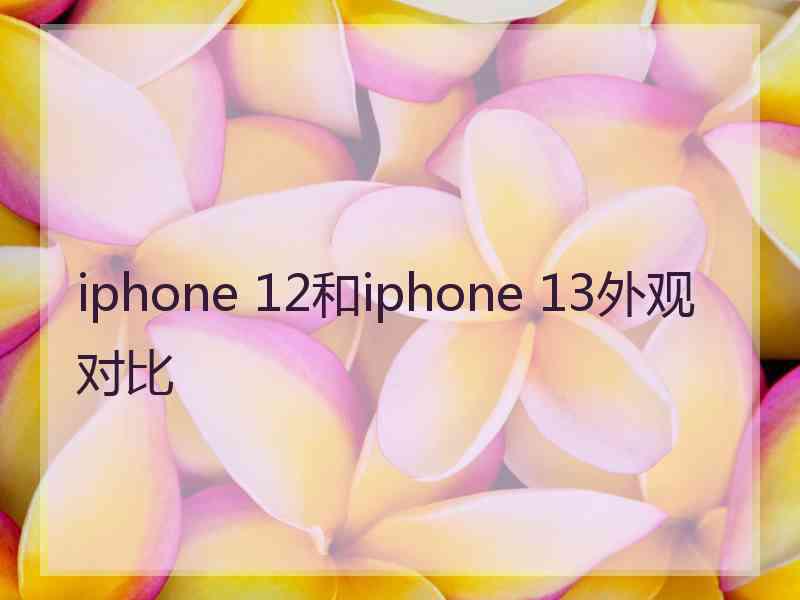 iphone 12和iphone 13外观对比