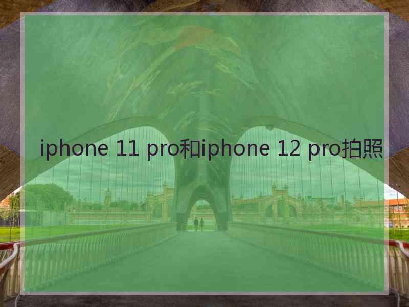 iphone 11 pro和iphone 12 pro拍照