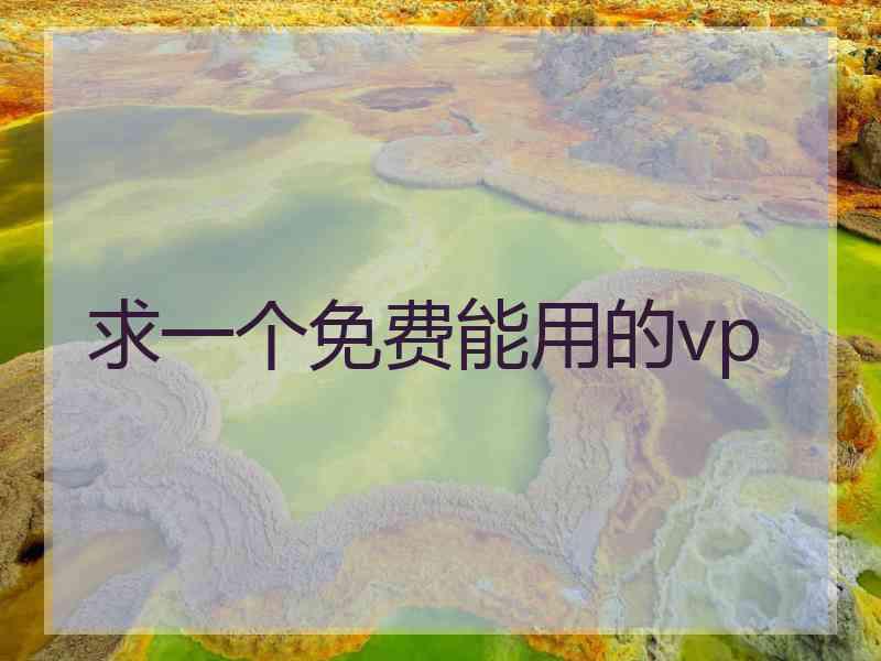 求一个免费能用的vp