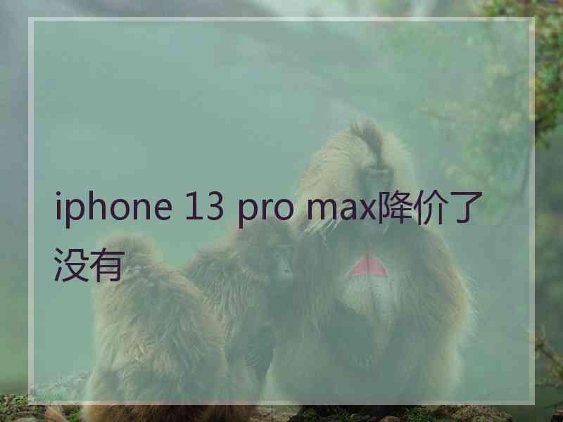 iphone 13 pro max降价了没有