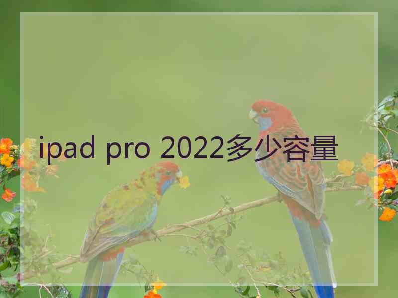 ipad pro 2022多少容量