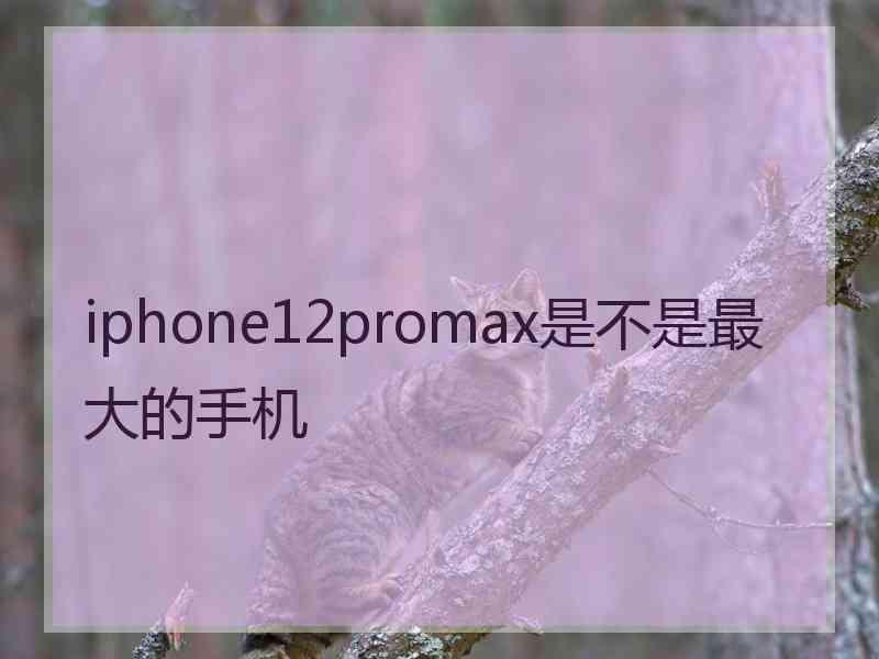 iphone12promax是不是最大的手机