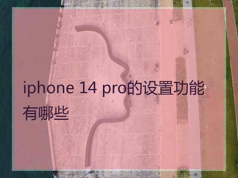 iphone 14 pro的设置功能有哪些