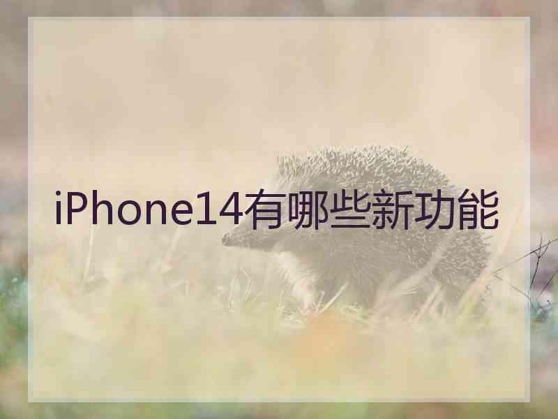 iPhone14有哪些新功能