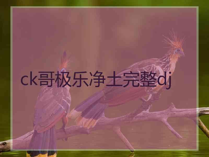 ck哥极乐净土完整dj