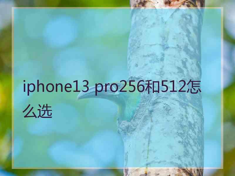 iphone13 pro256和512怎么选