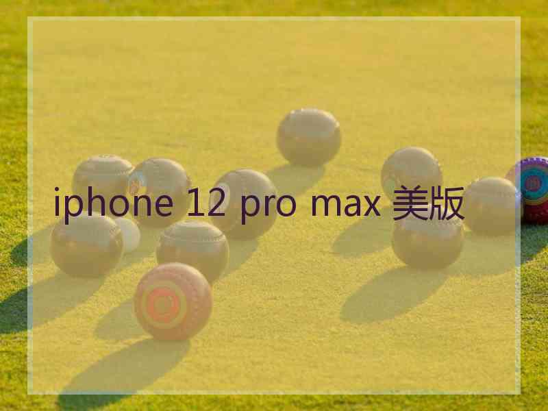 iphone 12 pro max 美版