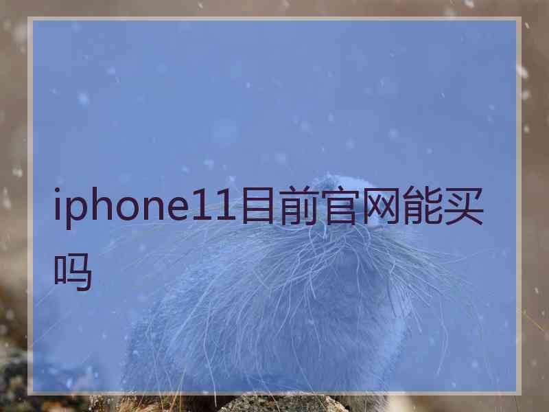 iphone11目前官网能买吗