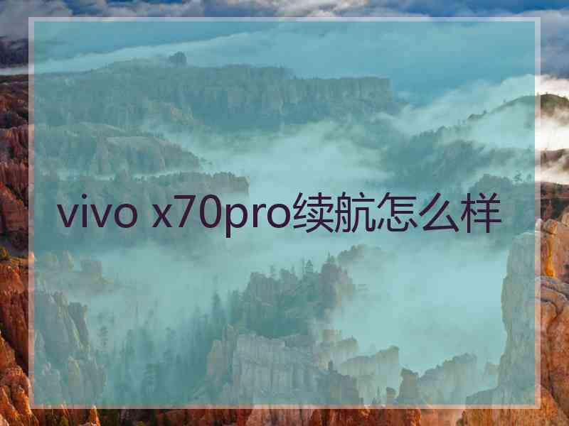 vivo x70pro续航怎么样