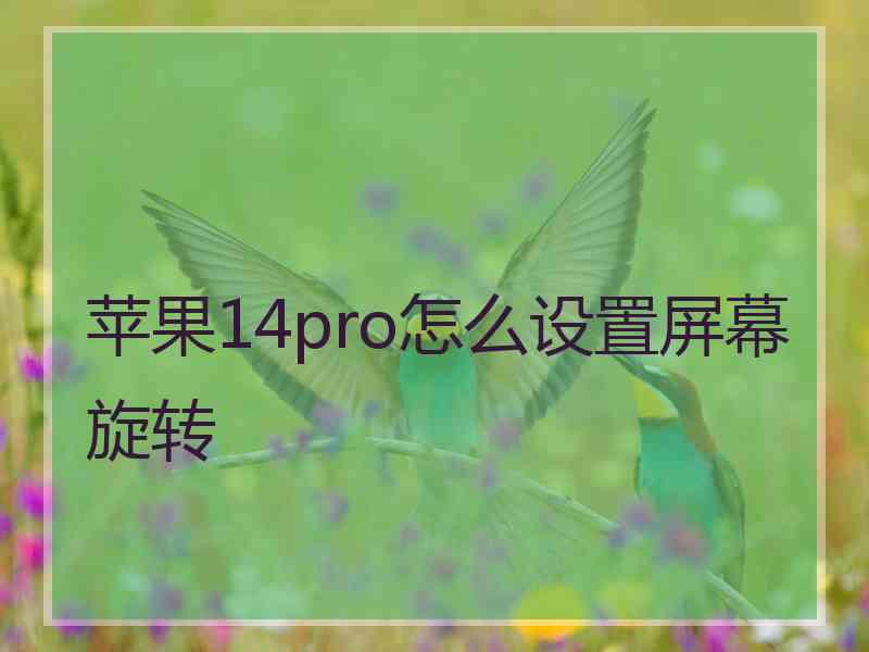 苹果14pro怎么设置屏幕旋转