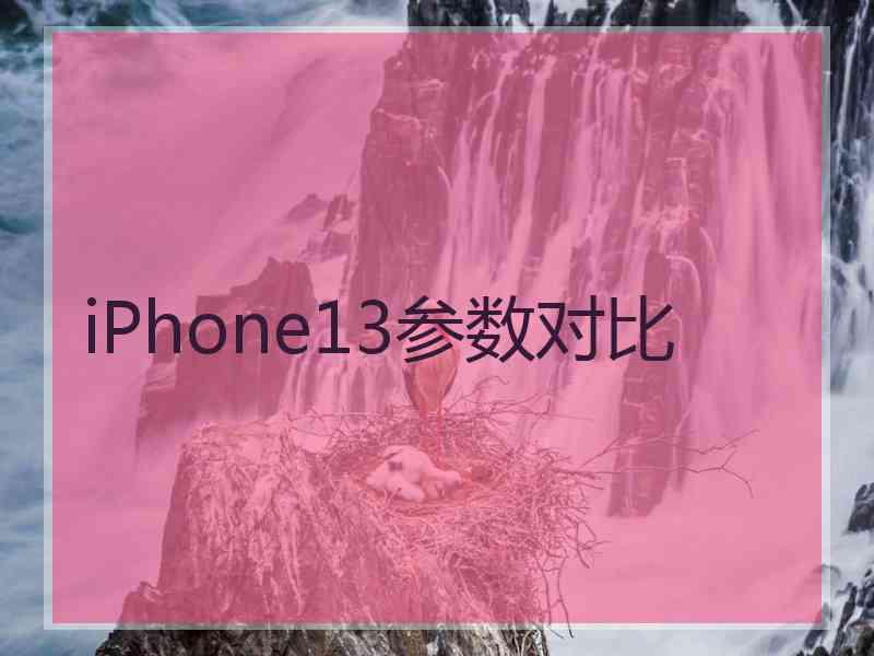 iPhone13参数对比