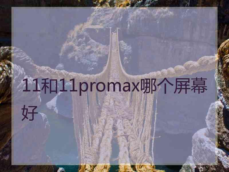 11和11promax哪个屏幕好