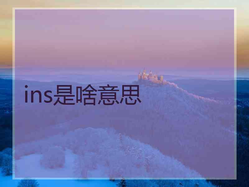 ins是啥意思