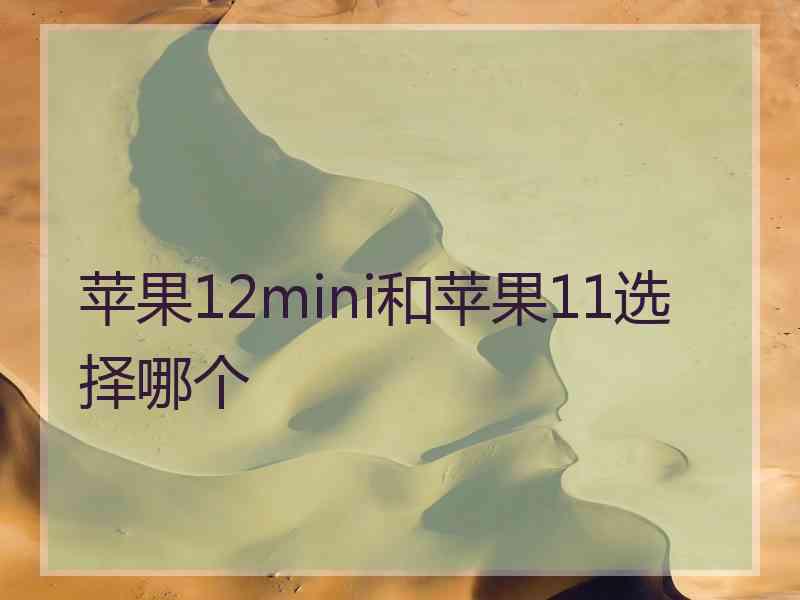 苹果12mini和苹果11选择哪个