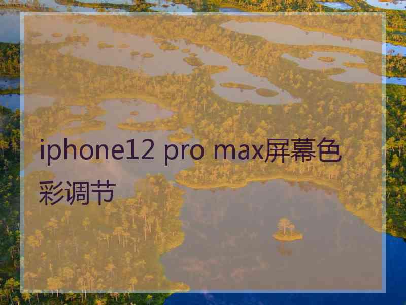 iphone12 pro max屏幕色彩调节