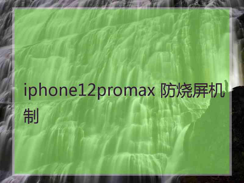 iphone12promax 防烧屏机制