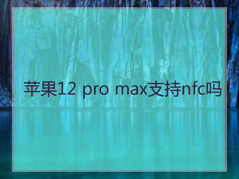 苹果12 pro max支持nfc吗