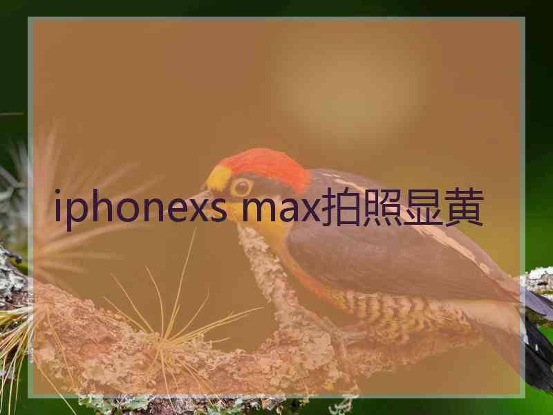 iphonexs max拍照显黄