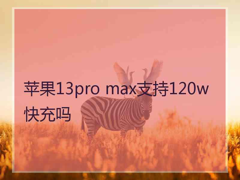 苹果13pro max支持120w快充吗