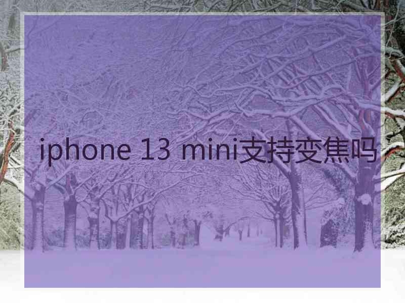 iphone 13 mini支持变焦吗