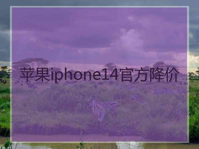 苹果iphone14官方降价