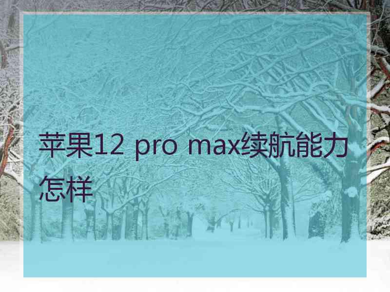 苹果12 pro max续航能力怎样