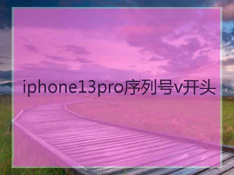 iphone13pro序列号v开头