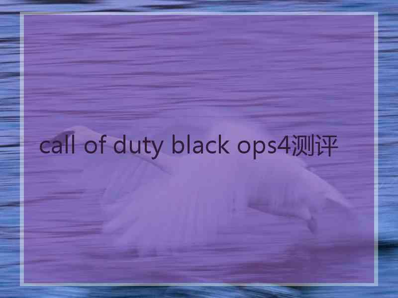 call of duty black ops4测评