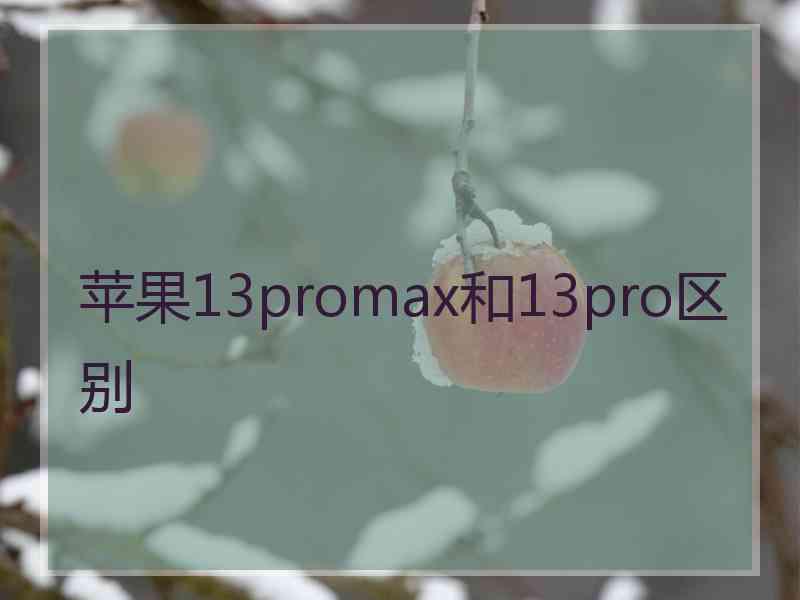 苹果13promax和13pro区别