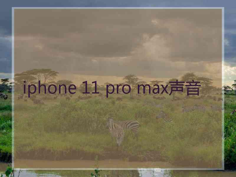 iphone 11 pro max声音