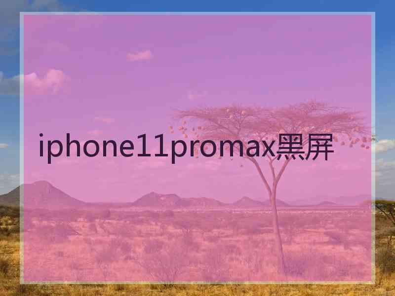 iphone11promax黑屏