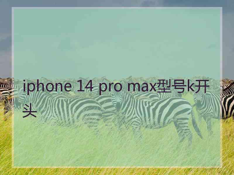 iphone 14 pro max型号k开头