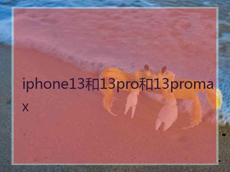 iphone13和13pro和13promax