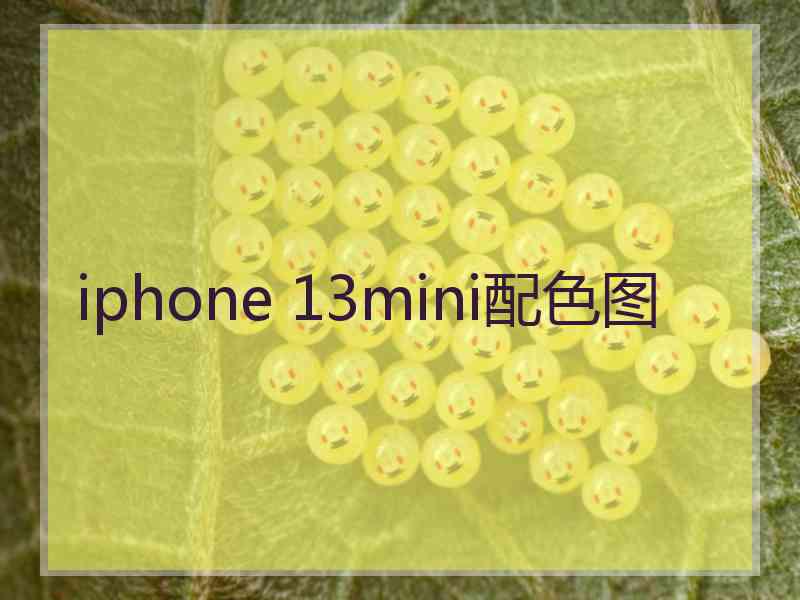 iphone 13mini配色图