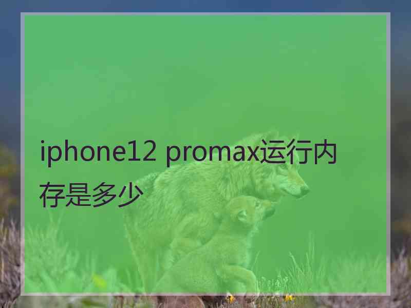 iphone12 promax运行内存是多少