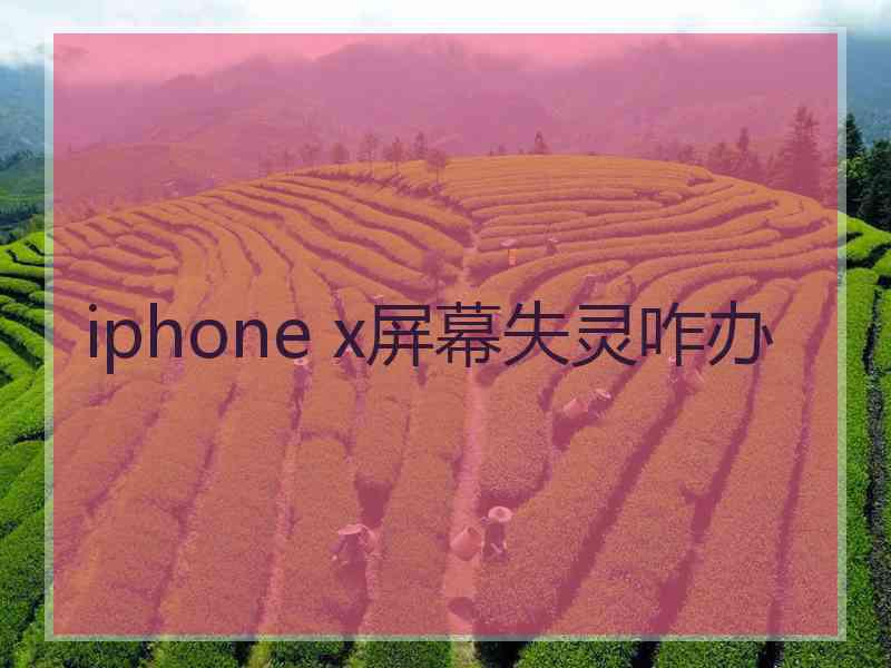 iphone x屏幕失灵咋办