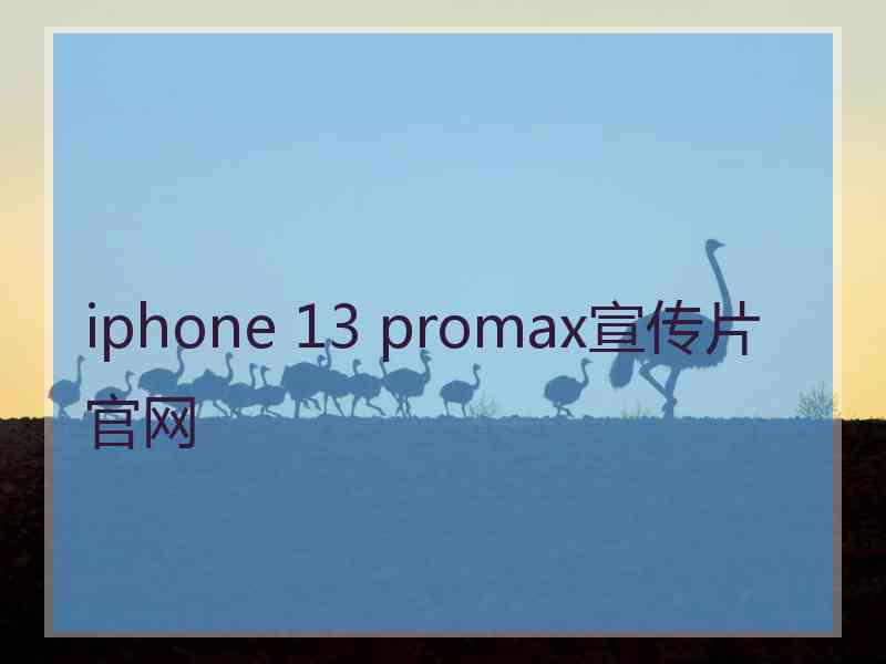 iphone 13 promax宣传片官网