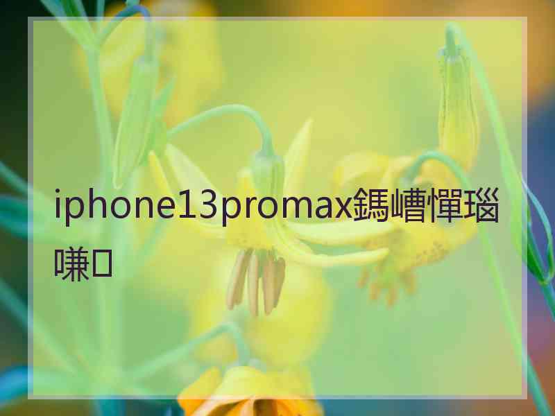 iphone13promax鎷嶆憚瑙嗛