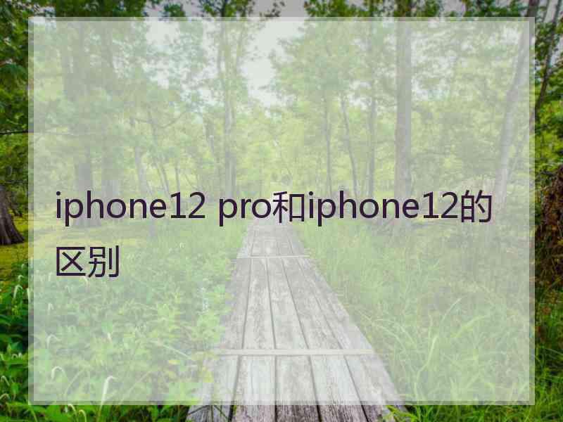 iphone12 pro和iphone12的区别