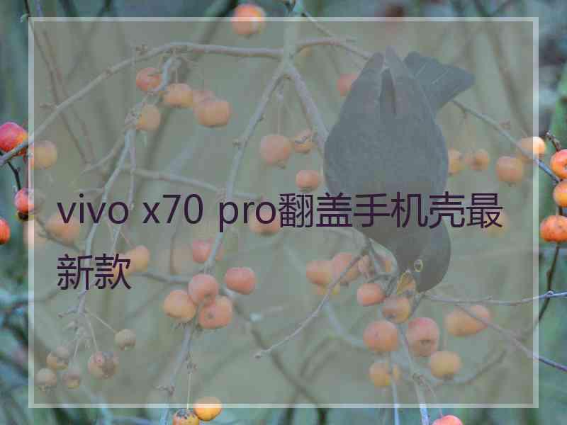 vivo x70 pro翻盖手机壳最新款