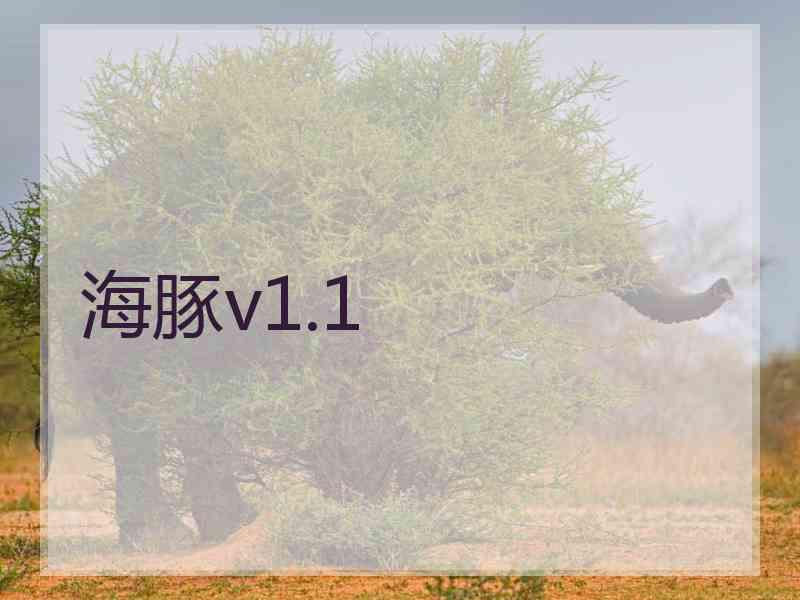 海豚v1.1