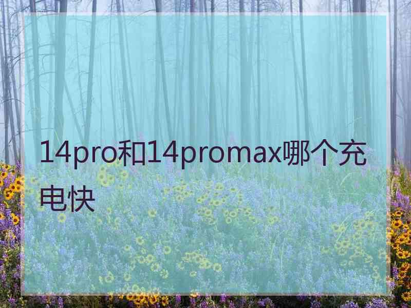 14pro和14promax哪个充电快