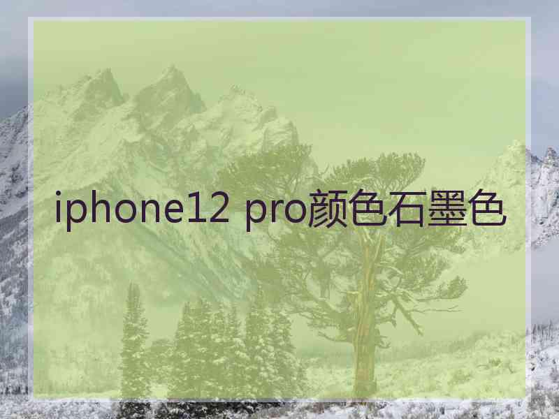 iphone12 pro颜色石墨色