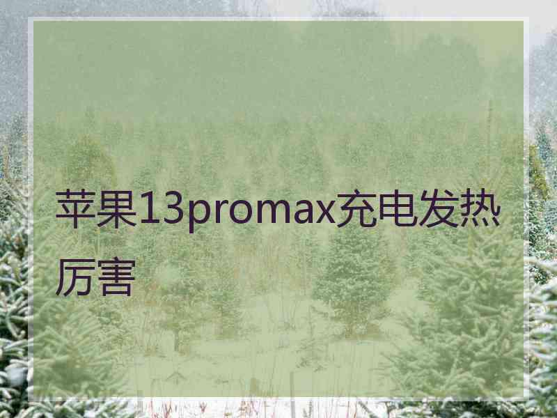 苹果13promax充电发热厉害