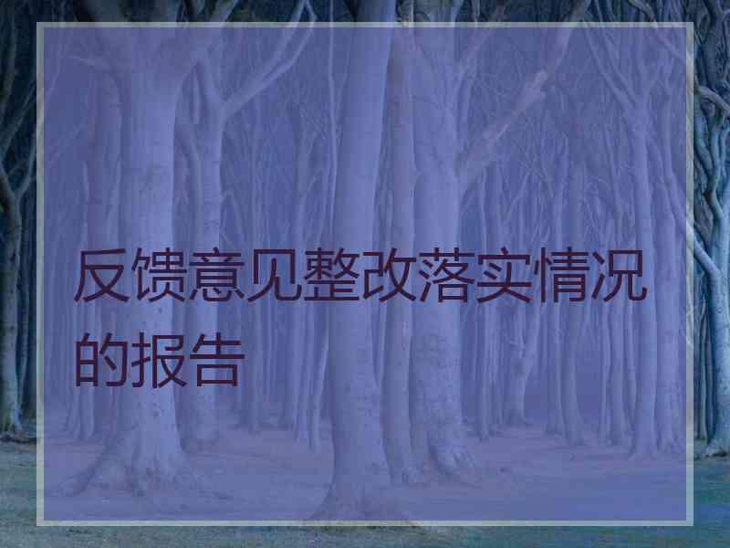 反馈意见整改落实情况的报告