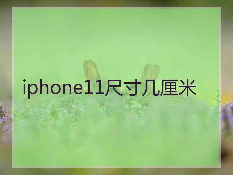 iphone11尺寸几厘米