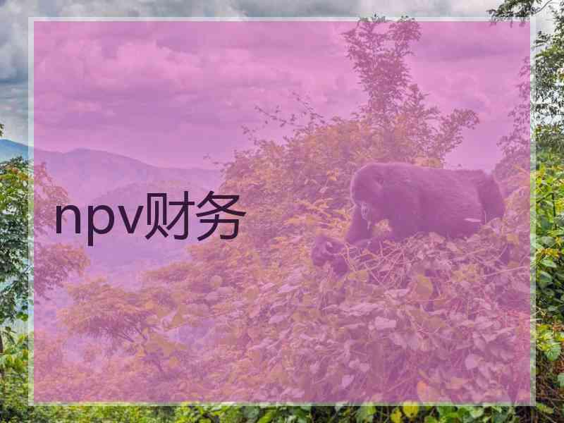 npv财务