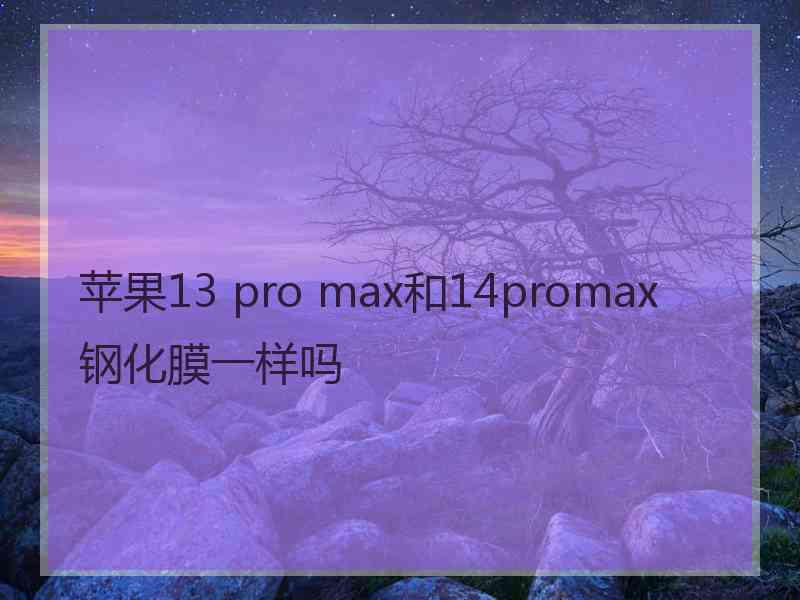 苹果13 pro max和14promax钢化膜一样吗