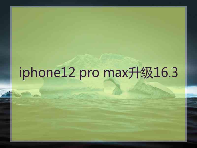 iphone12 pro max升级16.3