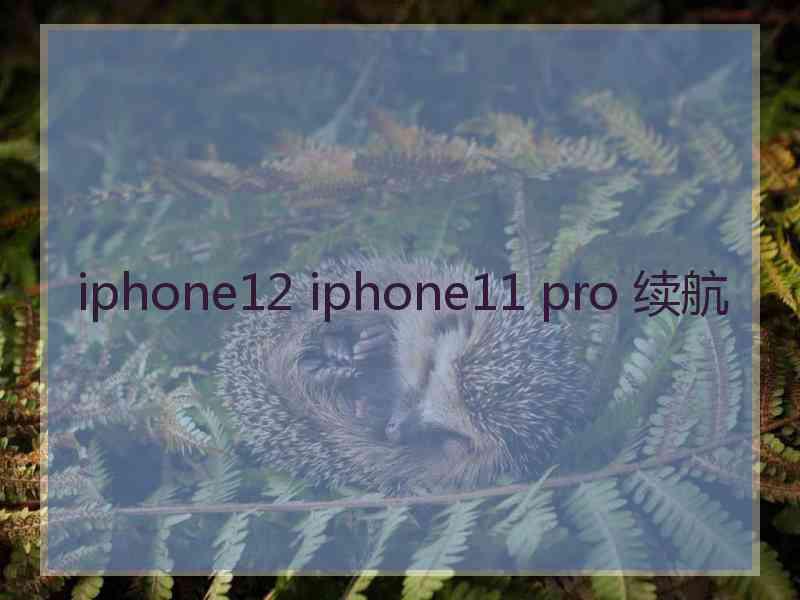 iphone12 iphone11 pro 续航